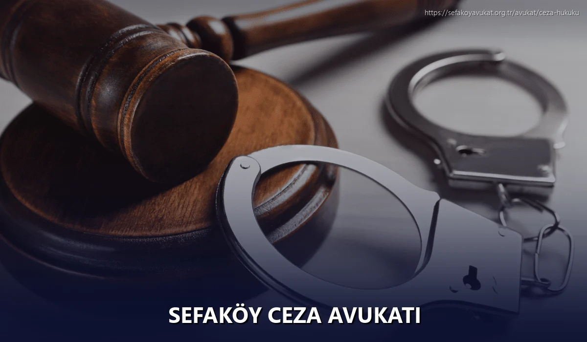 Sefaköy Ceza Avukatı